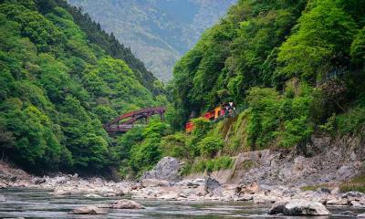 山间奔驰 | 沿着岚山保津川行驶的火车，京都，日本 (© Alvin Huang/Getty Images)
