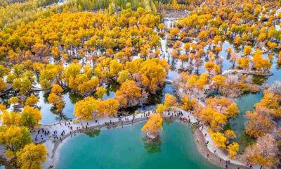 千年秘境 | 被胡杨树围绕着的湖, 金塔县, 酒泉, 甘肃, 中国 (© Feng Wei Photography/Getty images)