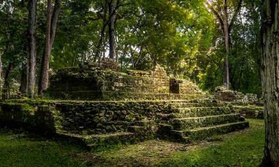 绘制星图的城市 | 科潘的玛雅遗址，洪都拉斯 (© diegograndi/Getty Images)