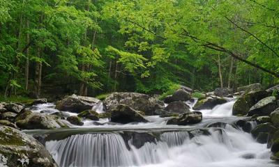流经烟雾弥漫之地 | 小鸽子河，大雾山国家公园，田纳西州, 美国 (© GreenStock/Getty Images)