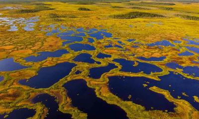 芬兰的活泥炭地 | 马蒂莫阿帕沼泽保护区泥炭地鸟瞰图, 芬兰 (© romikatarina/Shutterstock)
