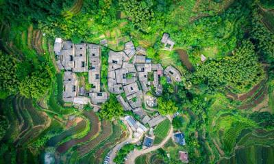 茶歇时光 | 杨家塘村茶园，松阳县，中国 (© feng xu/Getty Images)